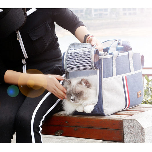 Pets Foldable Carrier for Outings