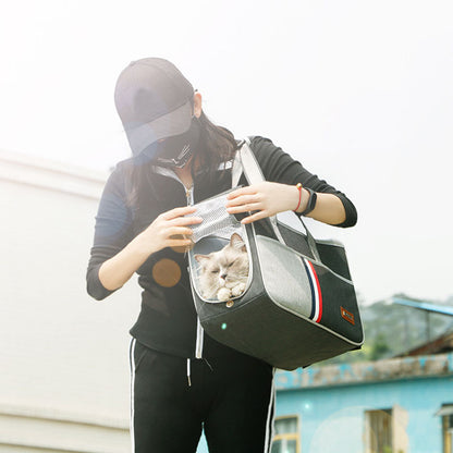 Pets Foldable Carrier for Outings